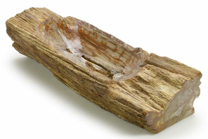 Polished Petrified Wood Dish - Madagascar #378872